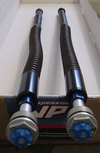 Magnum inserts